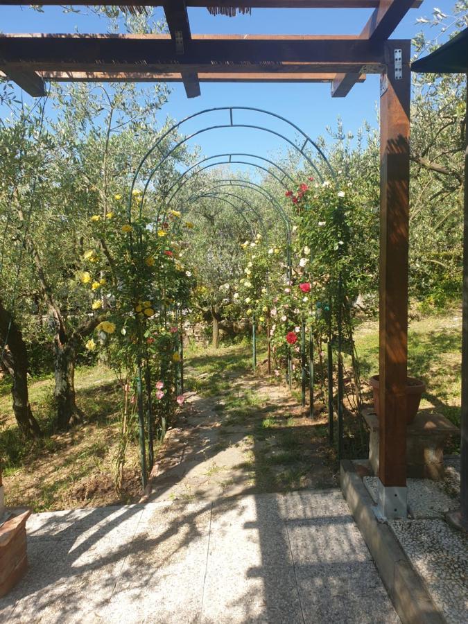 Casa Vacanze L'Oliveta Siena Exteriör bild