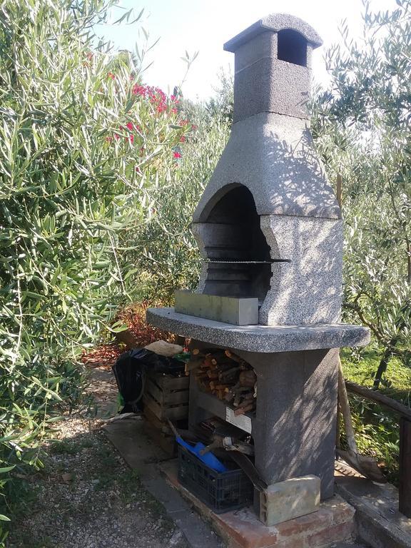 Casa Vacanze L'Oliveta Siena Exteriör bild