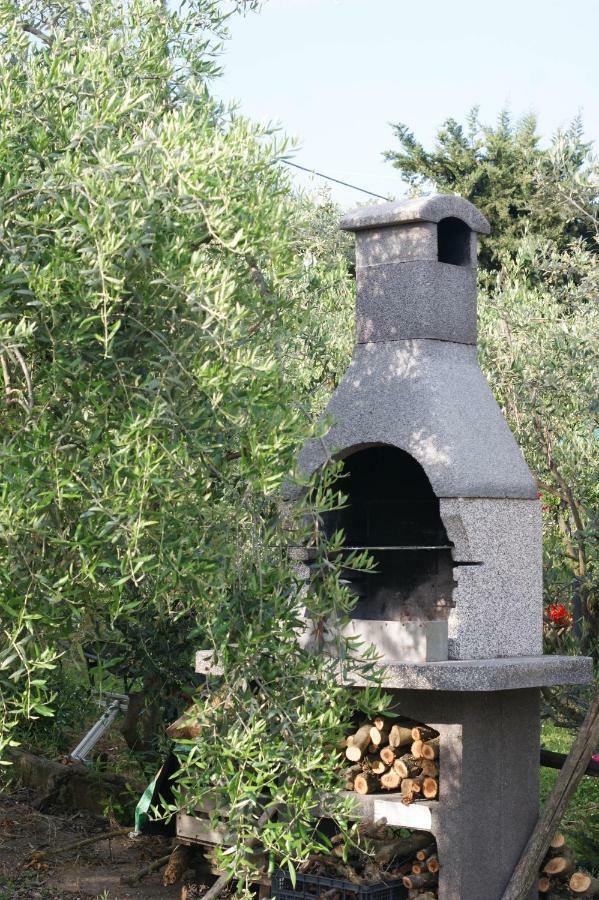 Casa Vacanze L'Oliveta Siena Exteriör bild
