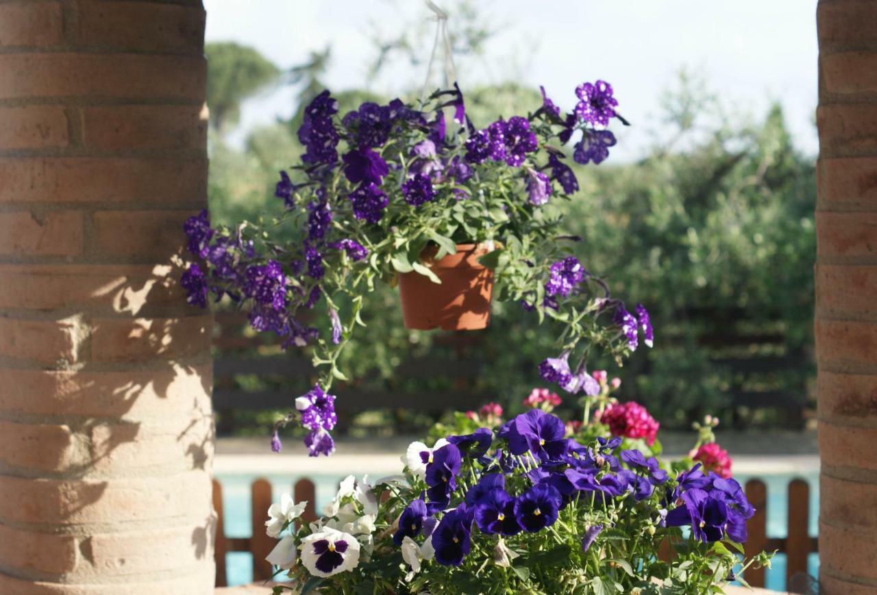 Casa Vacanze L'Oliveta Siena Exteriör bild