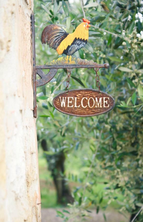 Casa Vacanze L'Oliveta Siena Exteriör bild